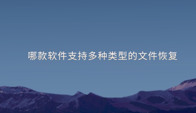 哪款软件支持多种类型的文件恢复？试试这两款