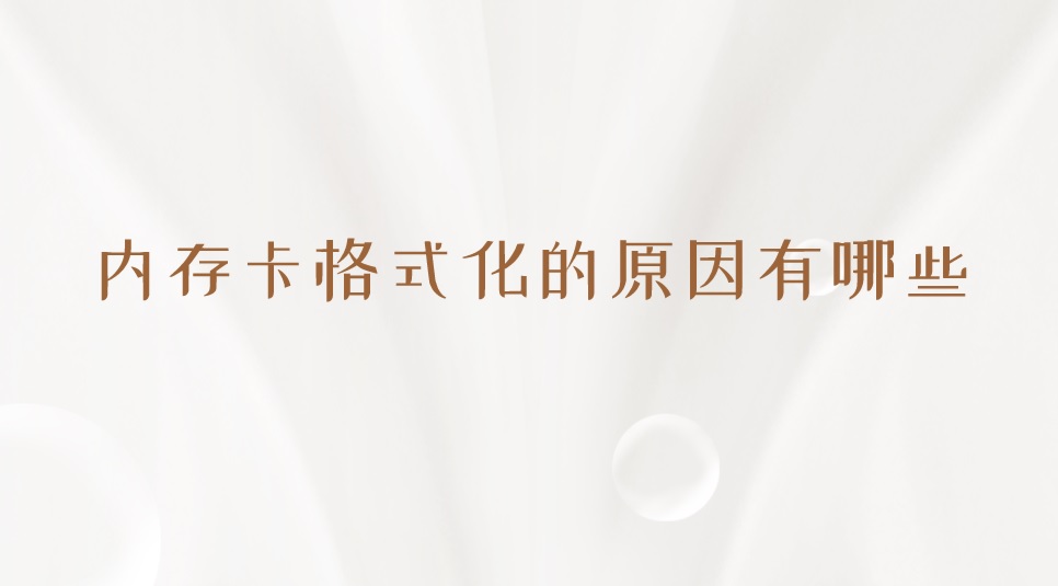 内存卡格式化的原因有哪些？挽回损坏就看它