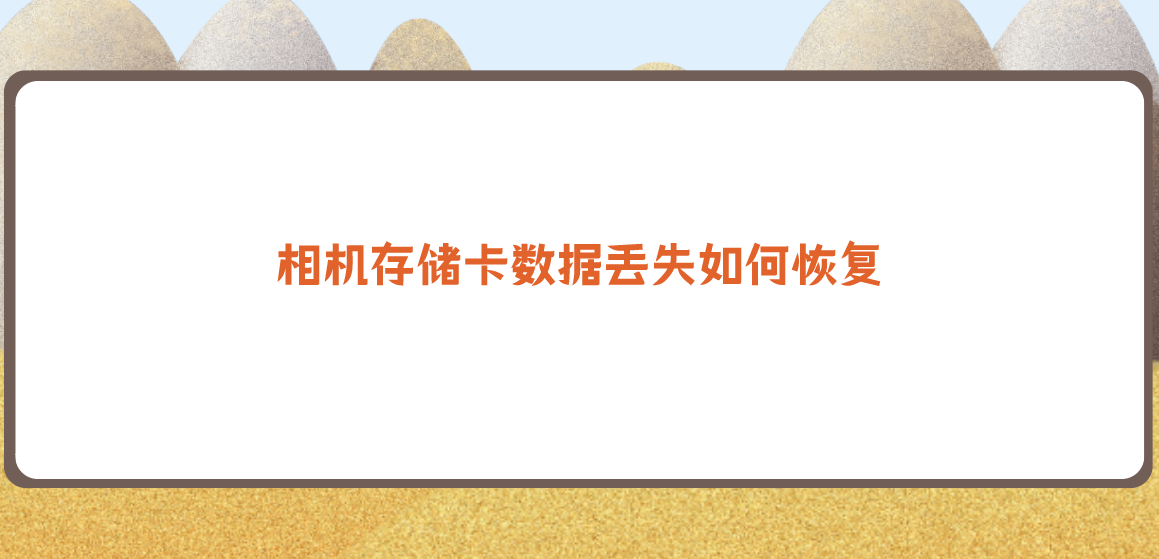 相机存储卡数据丢失如何恢复？可以成功解决问题的方法